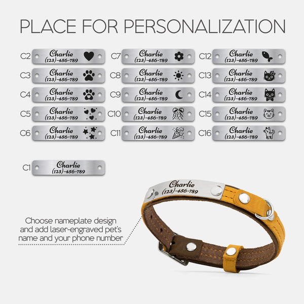 Coffee bean and Spicy pumpkin