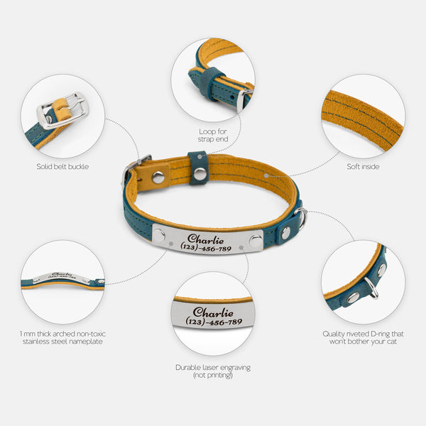 Spicy pumpkin and Sea green