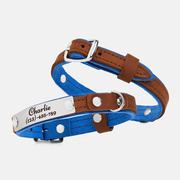 Sapphire and Whiskey