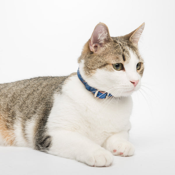 Dusty rose and Sapphire