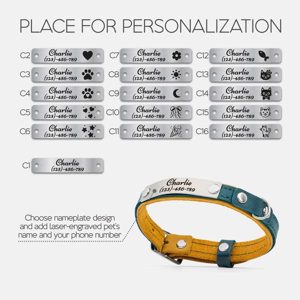 Spicy pumpkin and Sea green